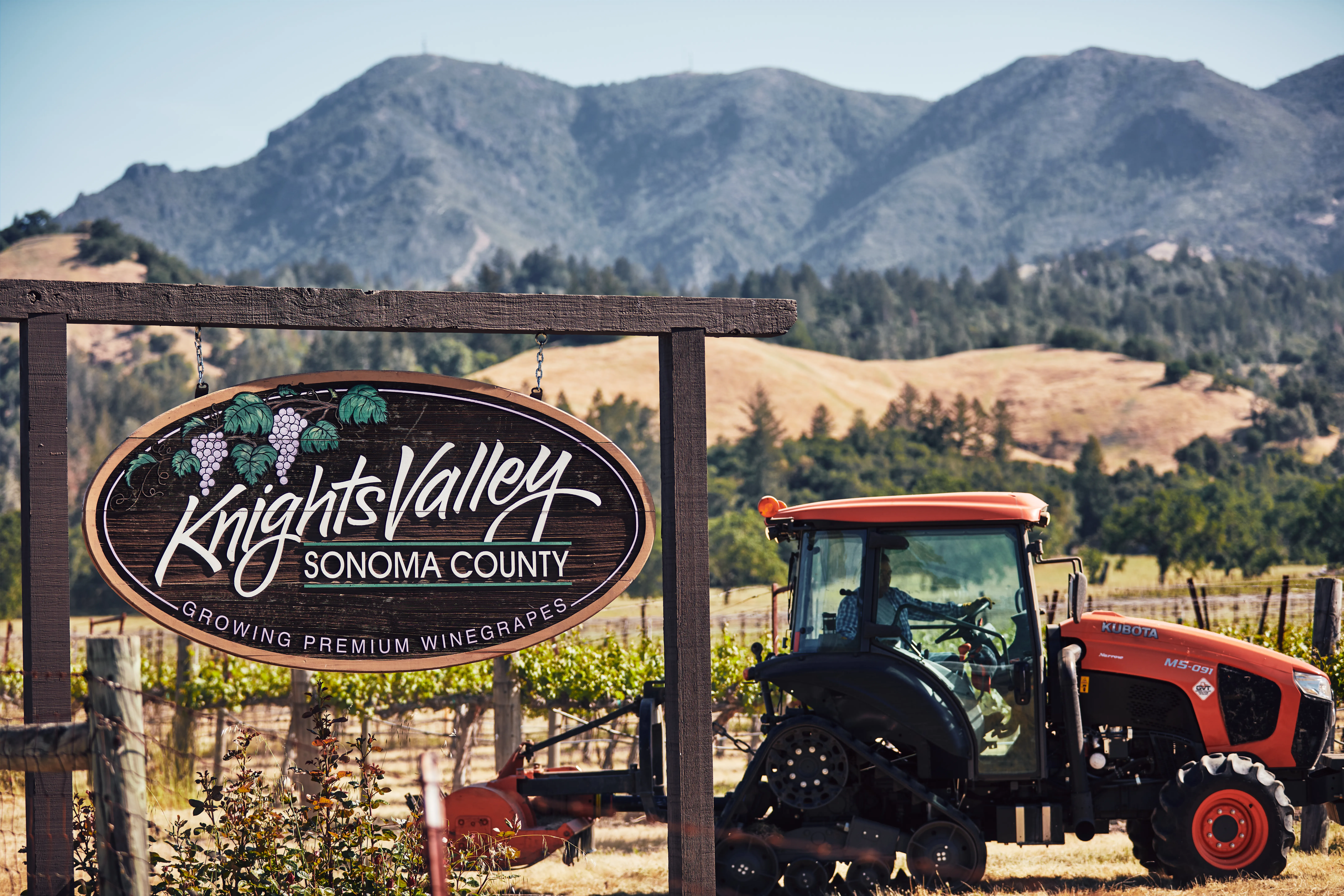 Knights Valley Landscape